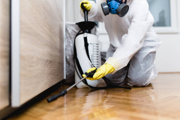 Best Residential Pest Control  in Biddeford, ME