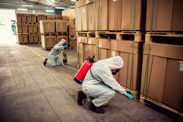Best Termite Control Services  in Biddeford, ME