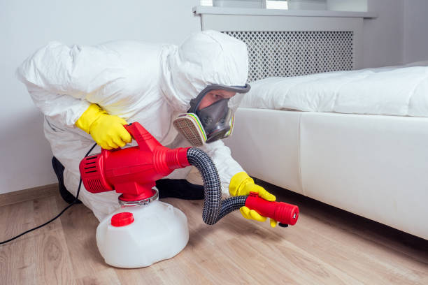 Pest Control for Restaurants in Biddeford, ME