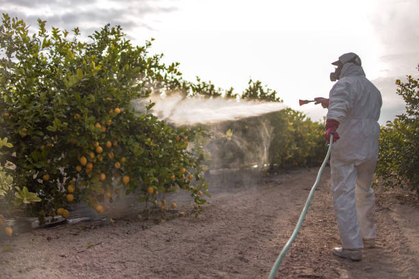 Best Commercial Pest Control Services  in Biddeford, ME