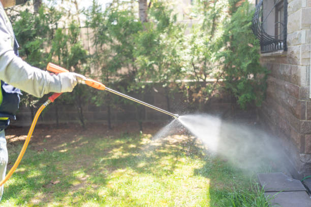 Reliable Biddeford, ME Pest Control Solutions