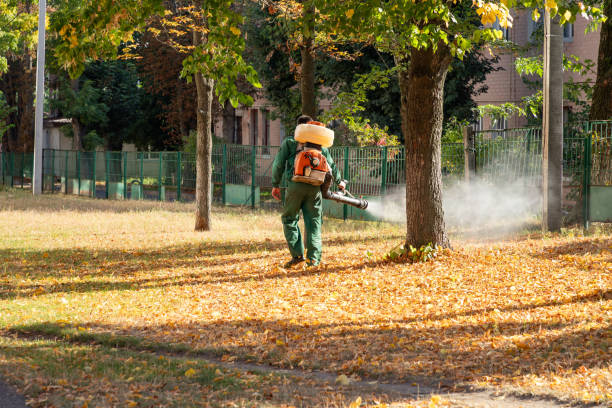 Best Mosquito Control Services  in Biddeford, ME