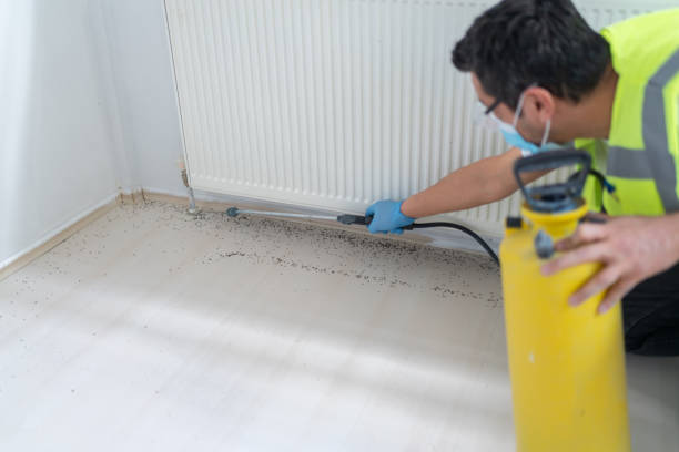 Best Best Pest Control Companies  in Biddeford, ME